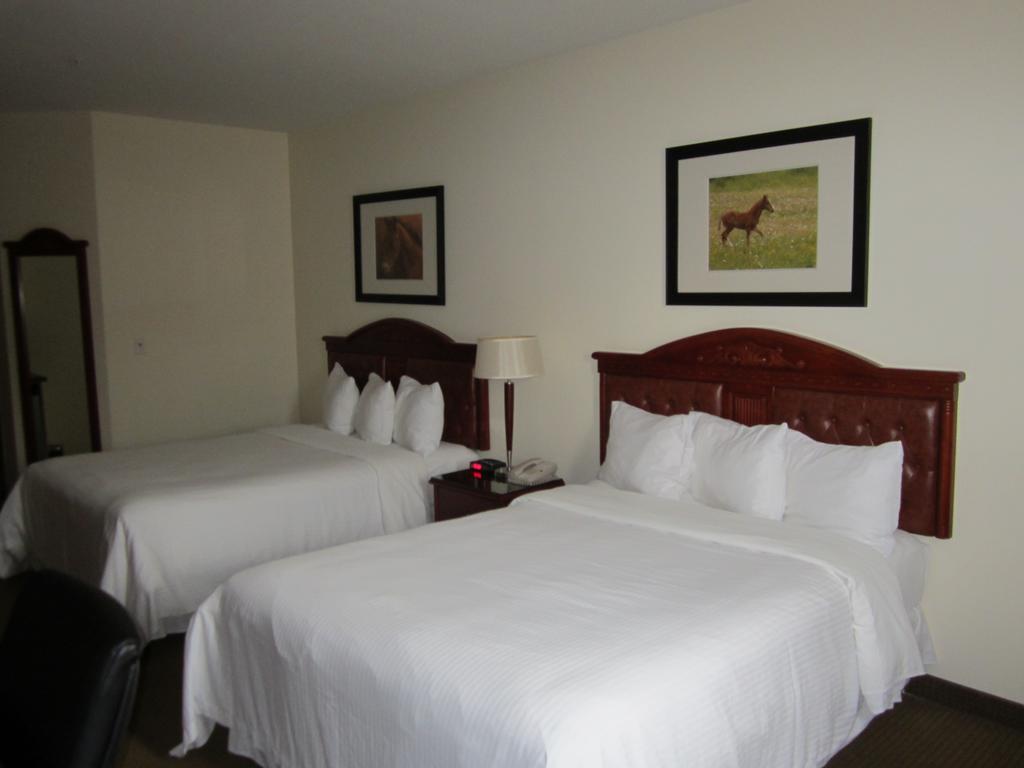 Trend Mountain Hotel & Conference Centre Tumbler Ridge 객실 사진